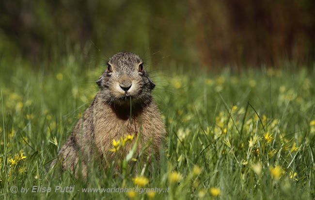 She loves springtime