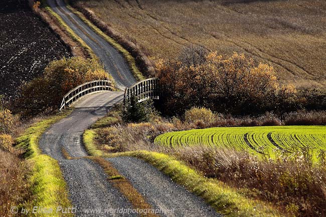 a bridge and a road