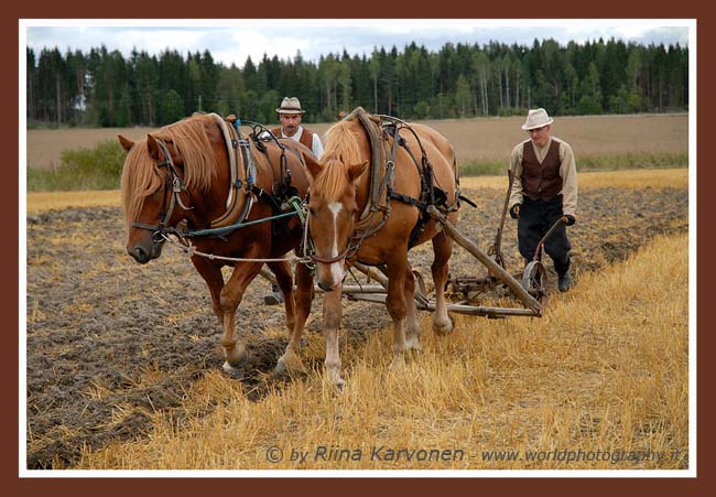 Farmers