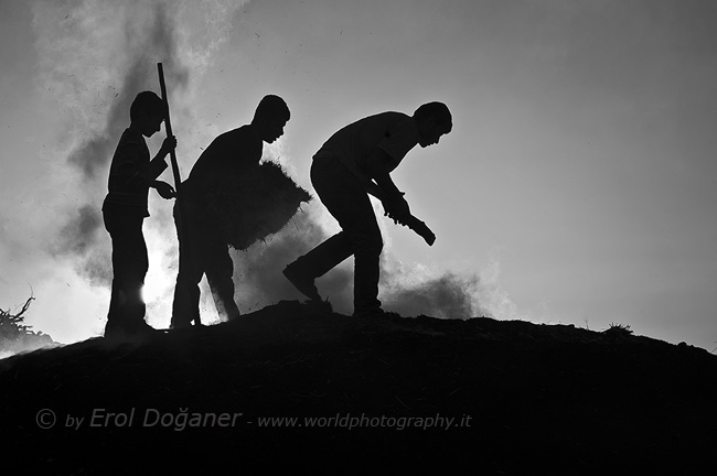 Coal Workers 3