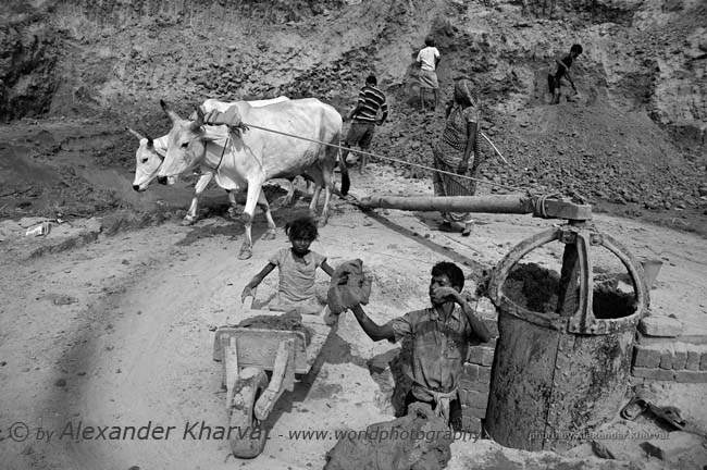 Children in India 11